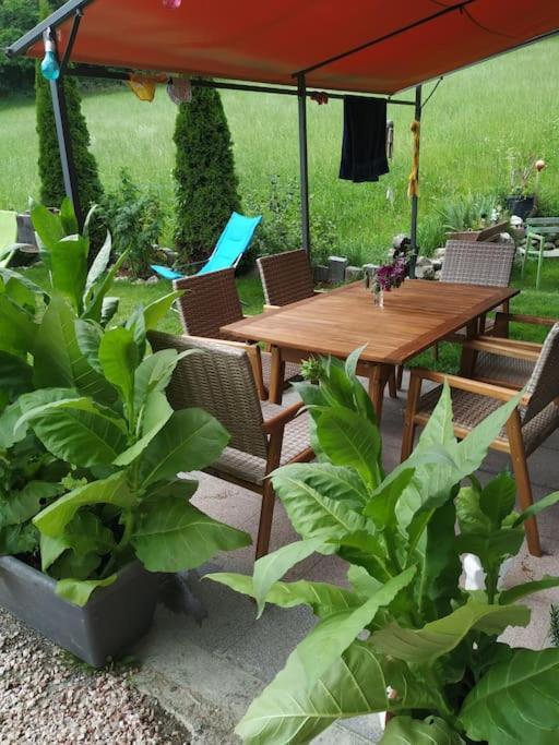 Upcycling Appartement Fischl - Nachhaltig Und Kreativ Wohnen Fuer Gross Und Klein Jenbach Eksteriør billede